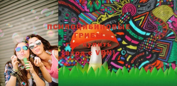 молекула духа Няндома
