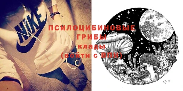 ГАЛЛЮЦИНОГЕННЫЕ ГРИБЫ Белоозёрский