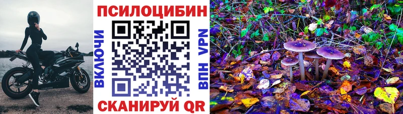 Псилоцибиновые грибы Psilocybe  Ясногорск 